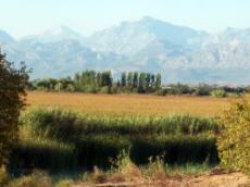 شقق مشرقة على ضفاف نهر بيليك للبيع - 4